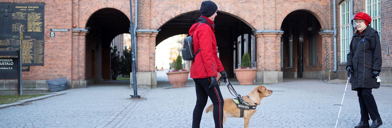 Opaskoiran kanssa ulkoileva henkilö kohtaa valkoisen kepin kanssa liikkuvan henkilön.